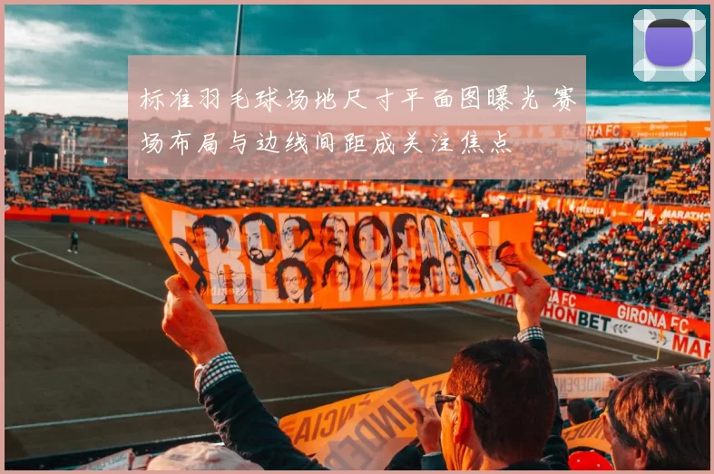 标准羽毛球场地尺寸平面图曝光 赛场布局与边线间距成关注焦点