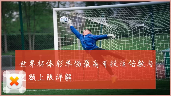 世界杯体彩单场最高可投注倍数与金额上限详解