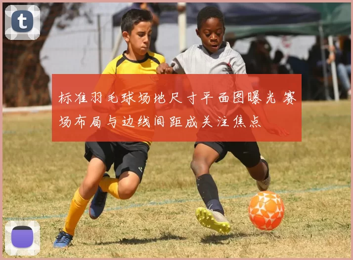标准羽毛球场地尺寸平面图曝光 赛场布局与边线间距成关注焦点