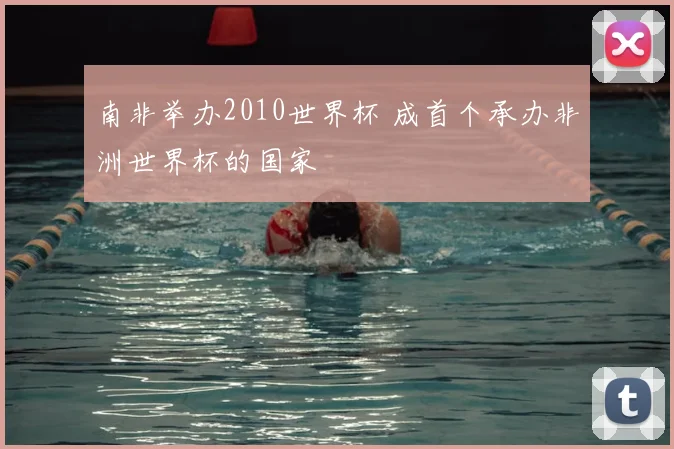 南非举办2010世界杯 成首个承办非洲世界杯的国家